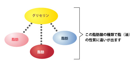 脂肪酸の種類の画像